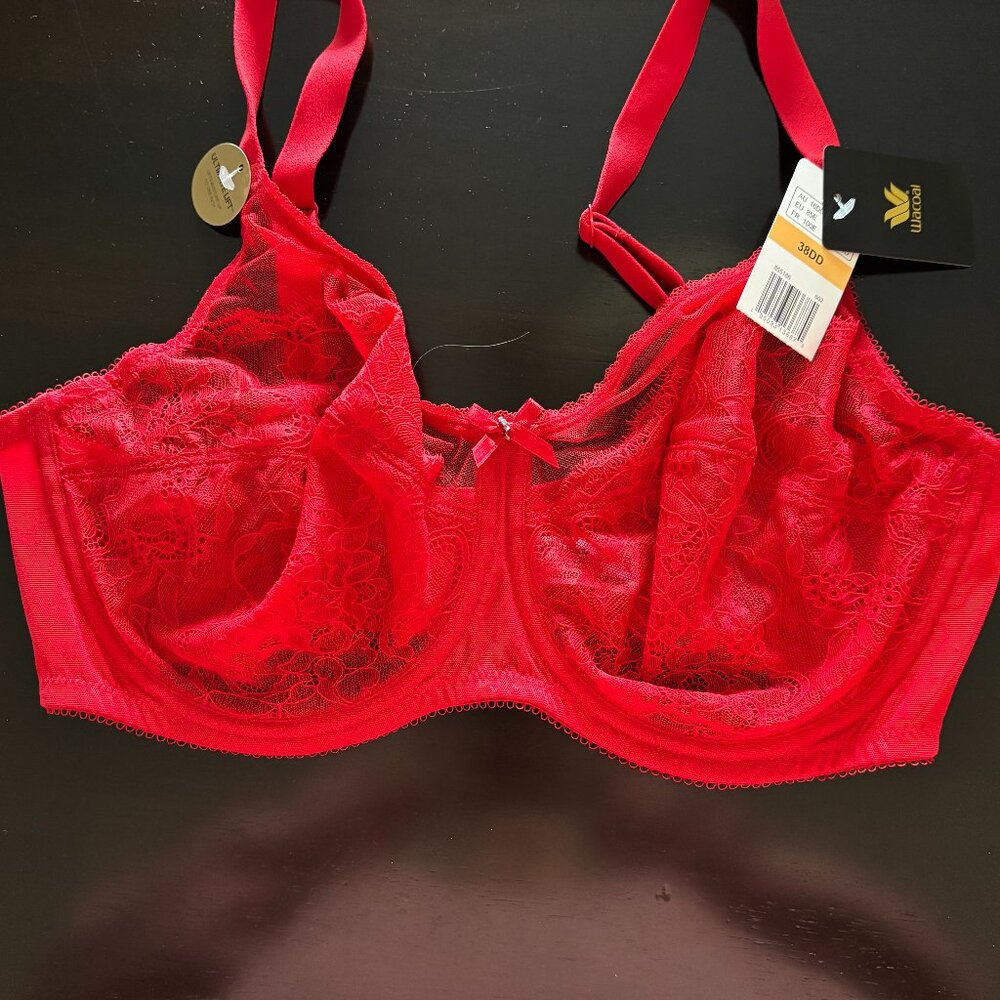Wacoal Bra